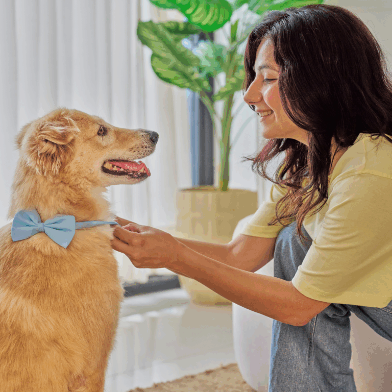 A groomer gently handling a relaxed dog during a wash