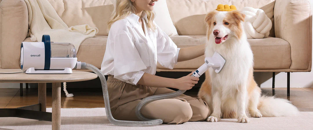 A dog being brushed by its owner at home