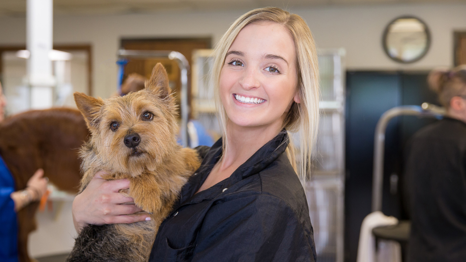 Emma Torres, groomer specialising in puppy introductions